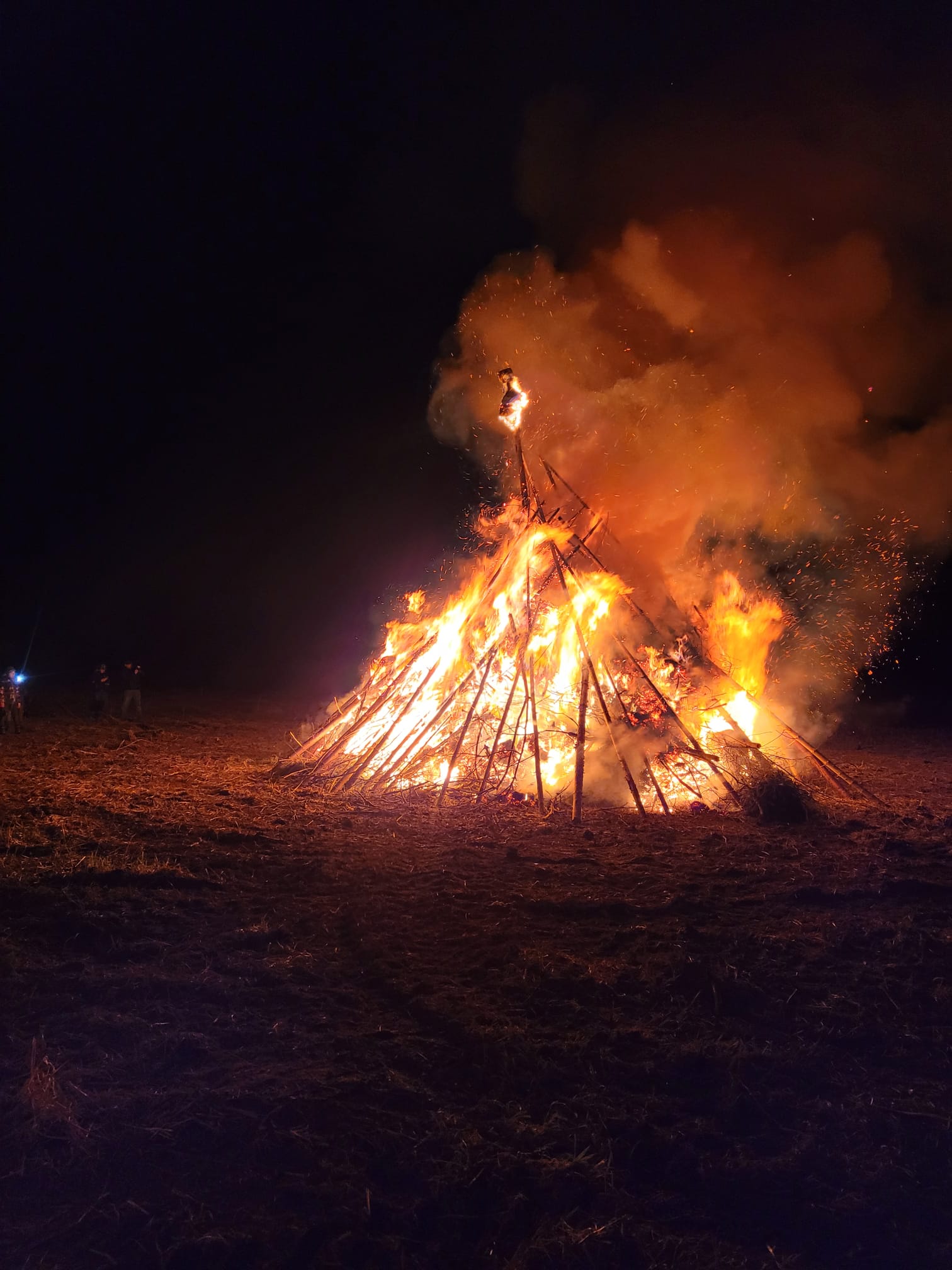 Bilder zum Funkenfeuer 2023